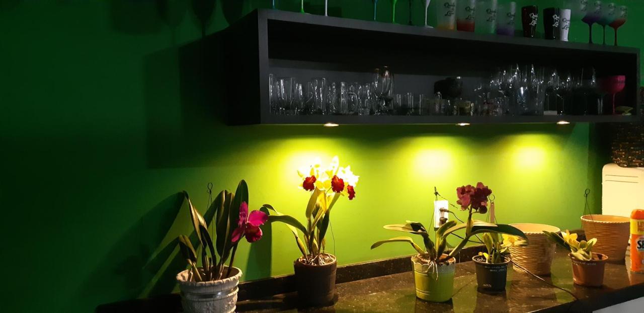 Quinta Do Lapa II Lejlighed Florianópolis Eksteriør billede